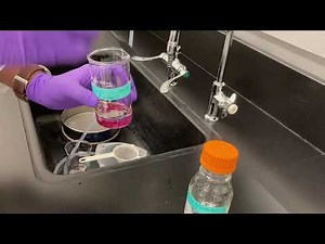 Extraction and Staining of Root-knot nematodes from Tomato Roots