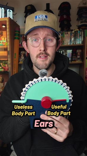 Explore the Wavelength Board Game Mechanics