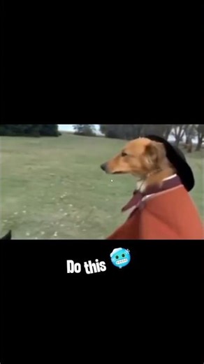 Tired of a static desktop? 🥱 Here is how to turn ANY video into a Live Wallpaper! 💻✨ #LiveWallpaper