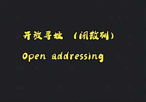 【基础算法课】哈希表（四）开放寻址 open addressing