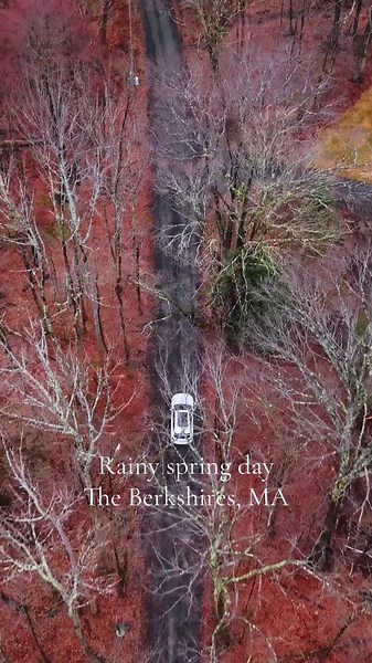 Living In The Berkshires on TikTok