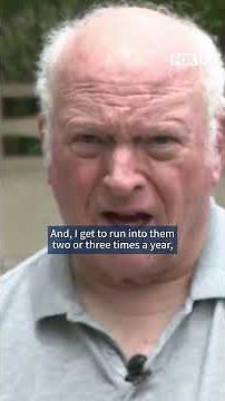 Family trying to bring man recovering from 'killer bee' attack to Utah