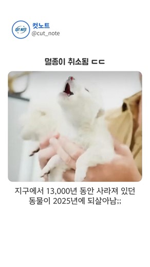 13,000년 만에 깨어난 포식자 ㄷㄷ