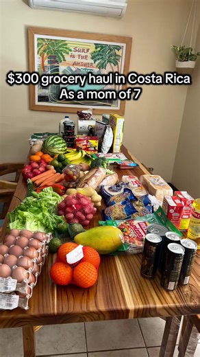 $300 Grocery Haul for a Family of Seven in Costa Rica