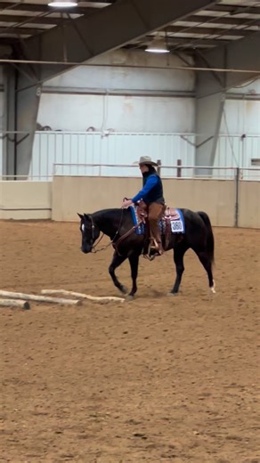 Lexi Reeves | Behind the Fence on Instagram: "Ranch Riding, Round 1 ✨ 1,2 in the VRH and 2nd from all judges in the AQHA! Looking forward to another round tomorrow. 👏🎉 #aqha #performancehorses #ranchversatility #horses"