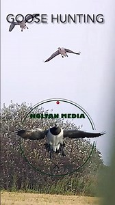 Goose hunting - Part I (ShotKam)