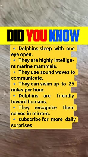 They can swim up to 25 miles per hour. #facts #DidYouKnow | RK Brain Exercise