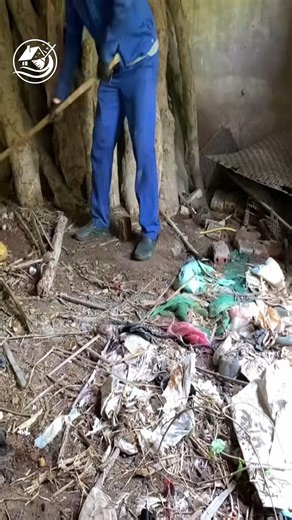 89K views · 1.3K reactions | Cleaning Up an Abandoned House #reels #clean #cleaning #cleanup #viral | Clean Up TV | Facebook