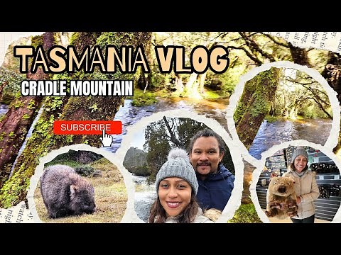 Exploring Cradle Mountain [Encounter with wombats, snow, Hikes & Enchanted Walk in Tasmania]