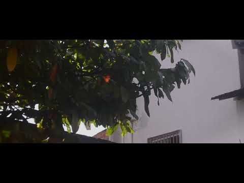 Teste Nikon D3100 Video Live View (1080p)