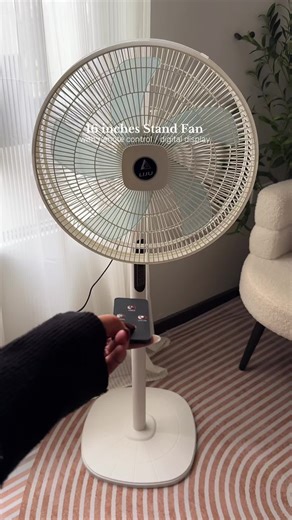 Aesthetic Electric Fan with Remote Control Review