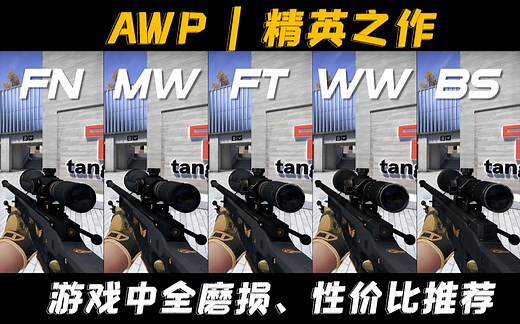 【CSGO】最适合新手的大狙【AWP | 精英之作】，4K高画质全磨损展示