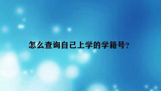 怎么查询自己上学的学籍号？