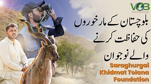 2.1K reactions · 210 shares | Balochistan's Markhors are being protected against environmental and human dangers by Saraghurgai's inspiring youth. Explore their remarkable initiative in our exclusive video. #Balochistan #Pakistan | Voice of Balochistan | Facebook