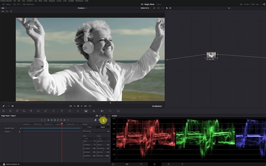 【字幕】魔法蒙版！达芬奇18最好用的工具！Magic Mask使用入门教程！
