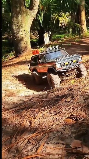 How to Choose the Perfect RC Toy Car for Beginners