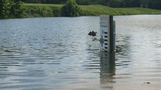 🌕 The South Florida Water Management District makes it easy for you to find enhanced information about expected King Tide conditions. 📨 Get weekly updates sent directly to your inbox. These updates report forecasted conditions that can cause tides to occur higher or lower than predicted at certain locations. 📊 Our team works throughout the King Tide season to monitor and document tidal events. This information helps guide important water management decisions, now and in the future. 🔗 Visit S