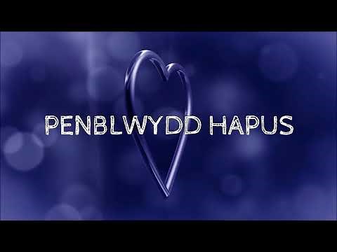 PENBLWYDD HAPUS