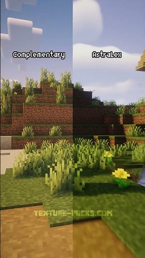 Complementary Reimagined Shaders or AstraLex Shaders? #shorts