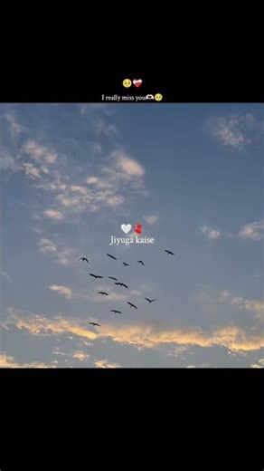 Musafir 🎧 | Atif Aslam | #nature #asthetic