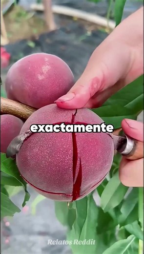 Parte 2 Final - Mi hermana financió toda su boda usando mi tarjeta de crédito sin permiso. Ahora está en grandes problemas. #reddit #redditstories #redditespañol #español #historiasreales