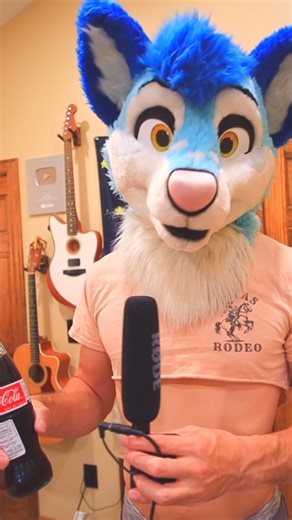 Fluke Husky 懶 on Instagram: "scrambled eggs sneeze"