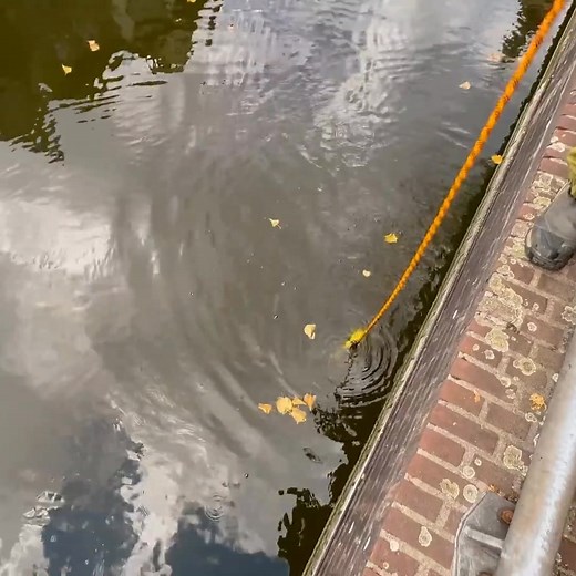 I found a ukrain coin in medival city Magnet Fishing | Bondi The Treasure Hunter | Facebook