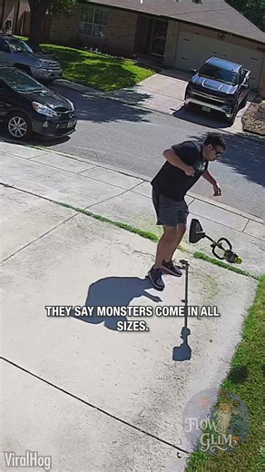 When a Tiny Bug Ruins Your Yard Day 🐜😂