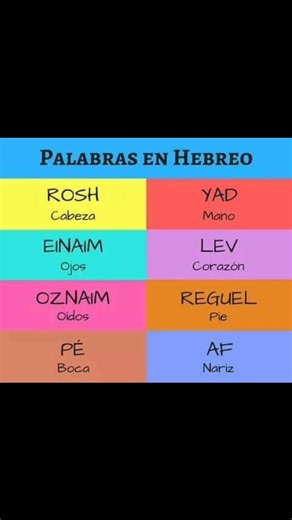 20K views · 802 reactions | SUSCRIBETE a nuestro canal y aprende poco a poco hebreo | HEBREOparatodos | Facebook