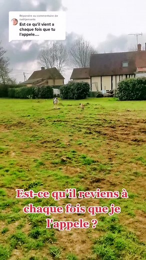 Ti Babe Le Sanglier sur TikTok