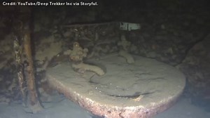 An underwater expedition has captured the first images from inside the U.S.S. Arizona in 75 years. The Arizona sank during the attack on Pearl Harbour in 1941, and has sat at the bottom of the ocean as a national monument ever since. | Global News