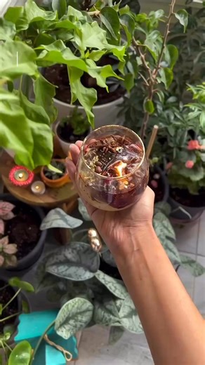 7.6K views · 13 reactions | Learn to make DIY candle with gel wax and natural elements for Fall #candlemaking #crafting #fallvibes | Craftionary | Facebook