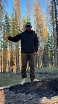 La locura se contagia