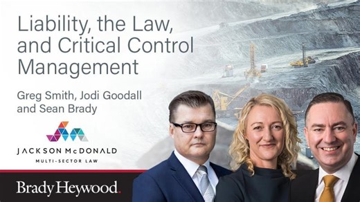 Liability, Law, and Critical Control Management: Clarity, Verification, and Accountability | Allison Golsby posted on the topic | LinkedIn