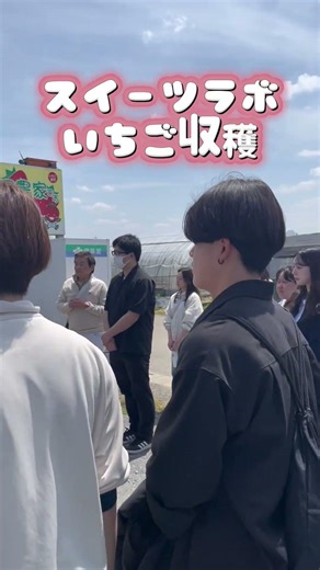いちご狩り