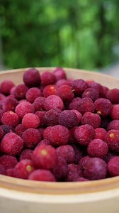 117K views · 2.1K reactions | My rural life | Making delicious bayberry jam from the mountains | Village Lifestyle Vlog | Facebook