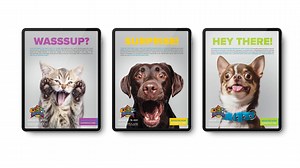 Mdg_Creative_Music_Video_30