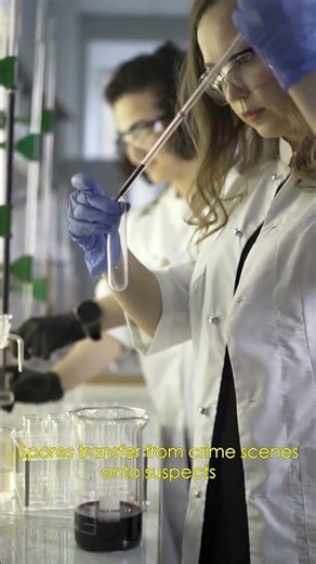How Forensic Botanists Solve Crimes With Plants 🌿
