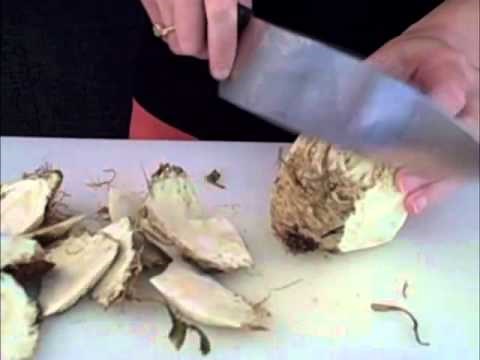Celelry Root (Celeriac) -- peel, slice, dice