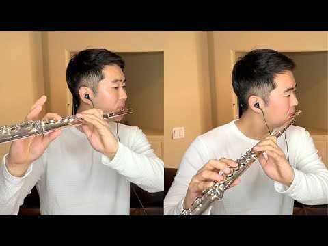 A Whole New World - Aladdin Flute Cover