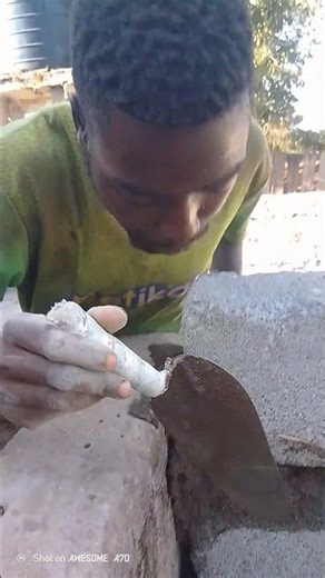 c #construction of a pig house