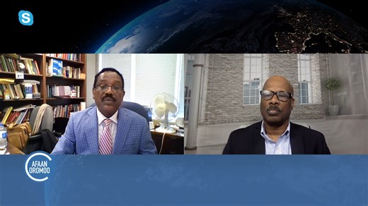 As Yunaayited Isteets keessatti wagga afuritti al tokko kan raawwatu sirni seenuu yaadannoo guyyaa mootummaan ofiin of bulchuu itti mirkanaa’uu fi guyyaa aangoo karaa nagaatiin walti dabarsuun raaw'atamu, jechuun ibsu, Yunivarsitii Illinooyi Kibbaatti proofeesara barnoota seenaa ka tahan, Dr. Getaahun Bantii. | VOA Afaan Oromoo