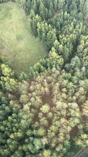 Andreas Hennig on Instagram: "Hubschrauber-Schnellwissen: Wie teilen wir uns den Anflug für eine Landung auf der Wiese ein? #helifliegen #fliegen #Hubschrauber #r44 #lehrer #schüler #uni #schule #Flugschule #Fluglehrer #wald #training #pilot #unterricht #unterrichtsideen #studium"