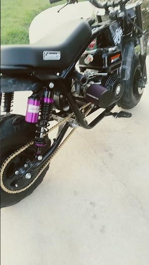 B200RSV setup, sweet mini bike #coleman #minibike #outside #shrimp