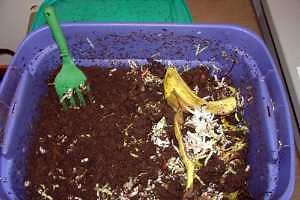 Worm composting or vermicomposting