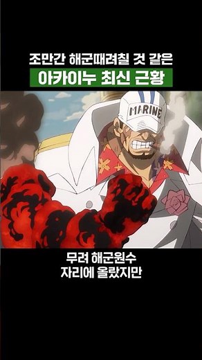 원피스) 조만간 해군때려칠 것 같은 아카이누 최신 근황