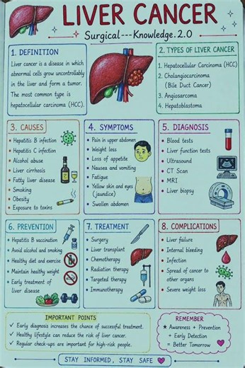 Liver Cancer Explained | Definition, Types, Causes, Symptoms, Diagnosis, Prevention & Treatment |
