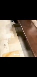 Meme Machine on Reels