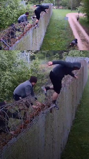 23K views · 318 reactions | Illegal immigrants enter Lithuania | Roya News English | Facebook