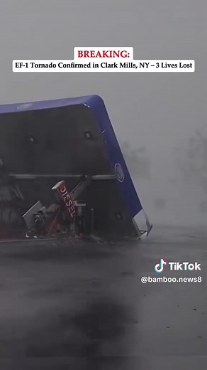 Bamboo News on TikTok